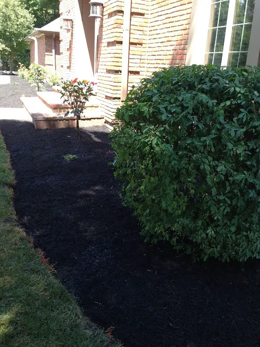 Green & Groom Landscape & Lawncare Picture 1
