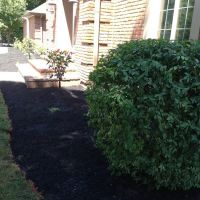 Green & Groom Landscape & Lawncare ico