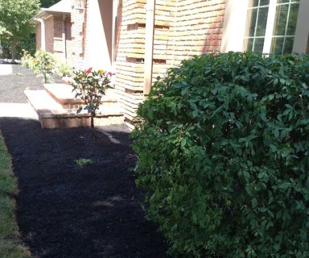 Green & Groom Landscape & Lawncare