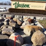 Wasson