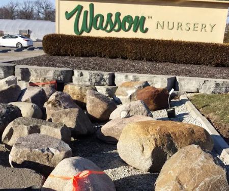 Wasson