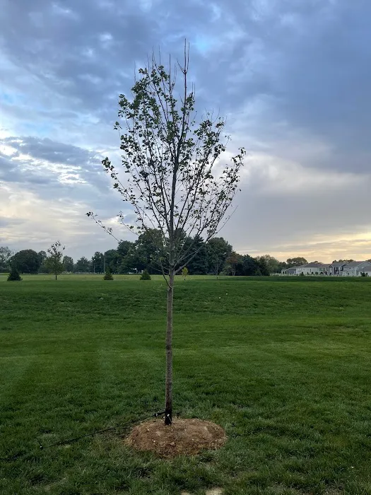 Havenwood Lawn & Landscaping, LLC Picture 9