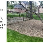 Roots Enterprises, LLC