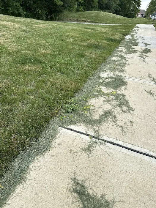 Roots Enterprises, LLC Picture 4