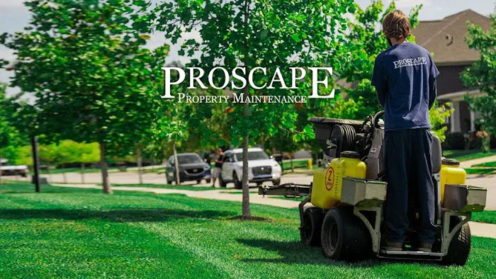 Proscape Property Maintenance Picture 5