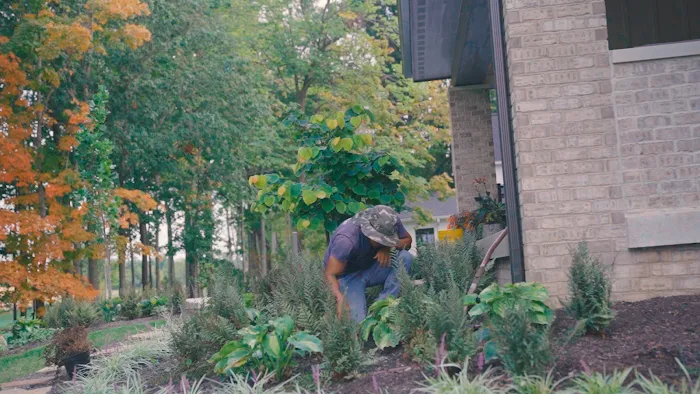 Proscape Property Maintenance Picture 8