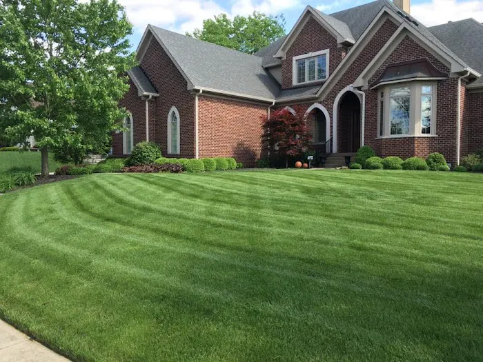 Proscape Property Maintenance Picture 4