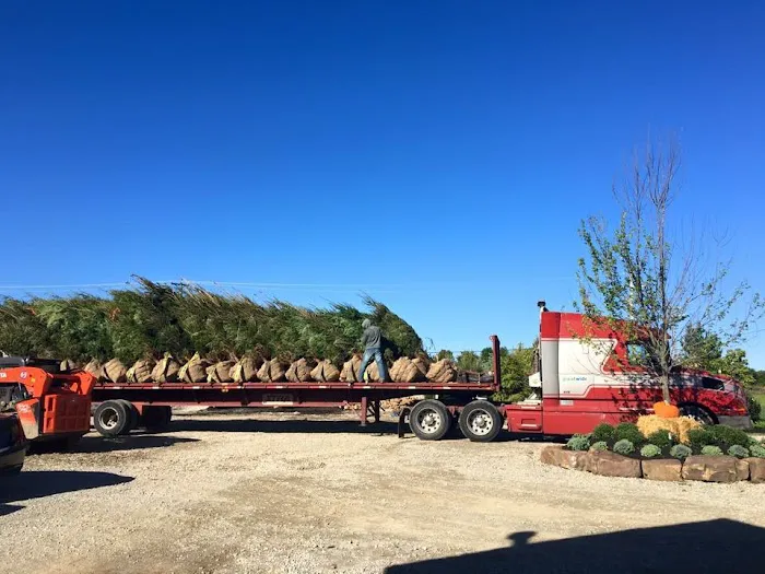 Rangel Professional Landscaping & Nursery Corp. Picture 3