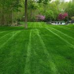 Allure Landscaping Llc