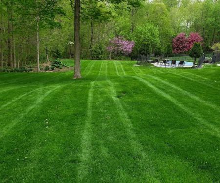 Allure Landscaping Llc