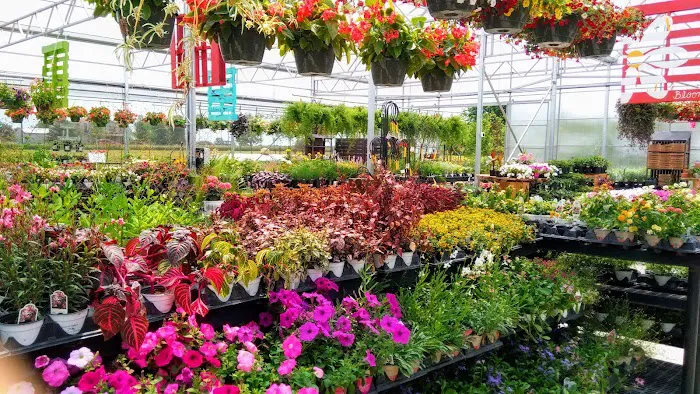 Sundown Gardens Picture 3