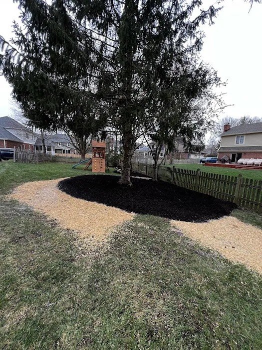 Anthony’s Tree Service & Landscape Picture 9