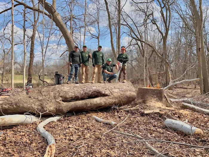 Anthony’s Tree Service & Landscape Picture 2
