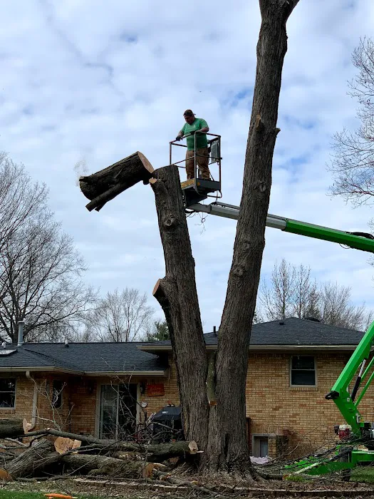 Anthony’s Tree Service & Landscape Picture 10