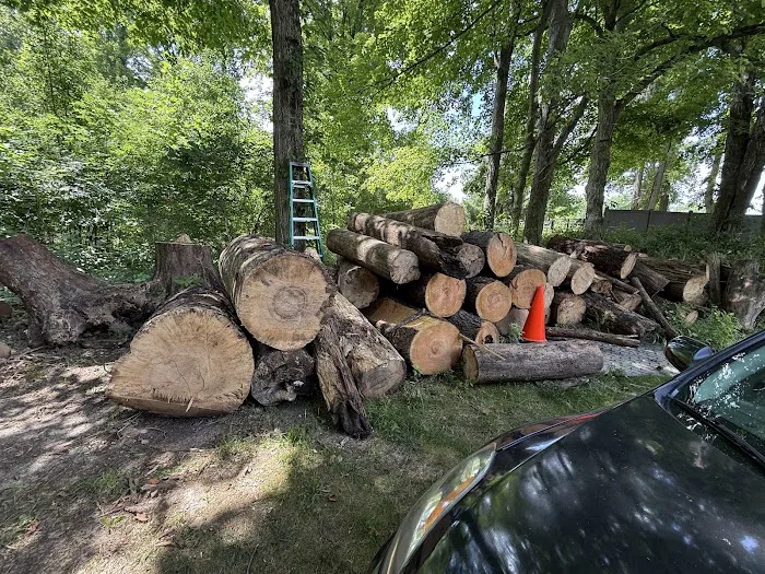 Anthony’s Tree Service & Landscape Picture 7