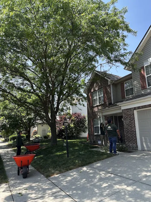 Anthony’s Tree Service & Landscape Picture 6
