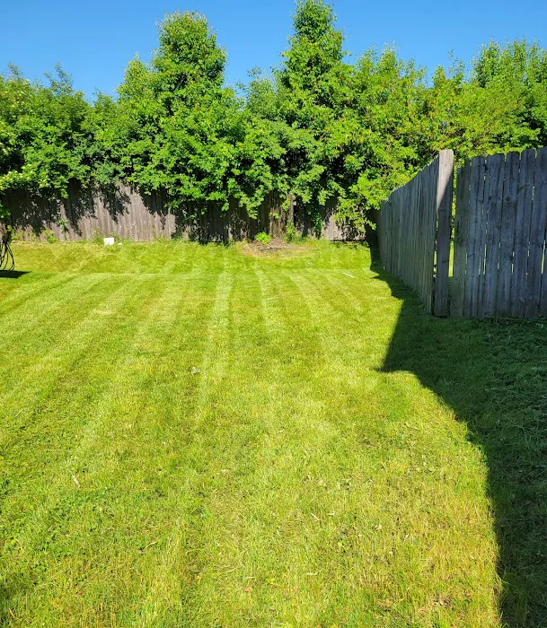 Family Lawncare & Construction Picture 2