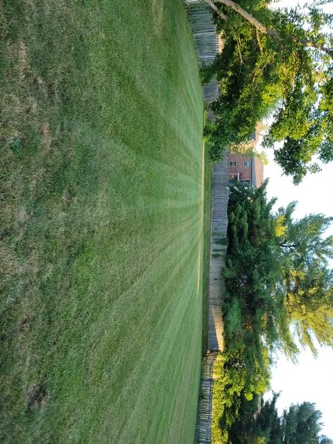 Family Lawncare & Construction Picture 5