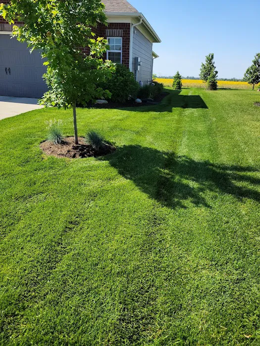 Family Lawncare & Construction Picture 3