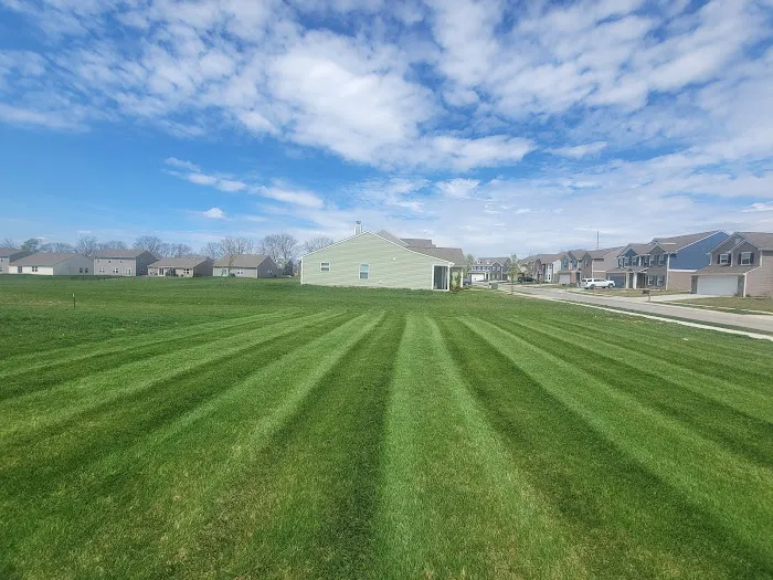 Family Lawncare & Construction Picture 8