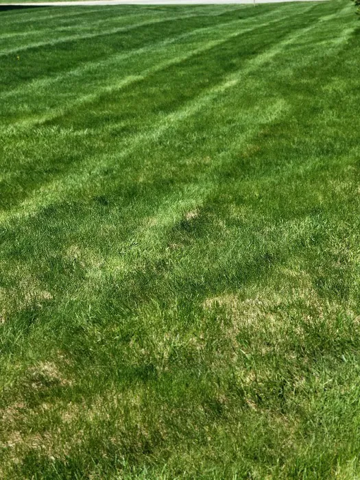 Family Lawncare & Construction Picture 10