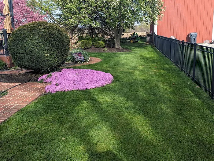 Apple & Son’s Lawn Care Service LLC Picture 2