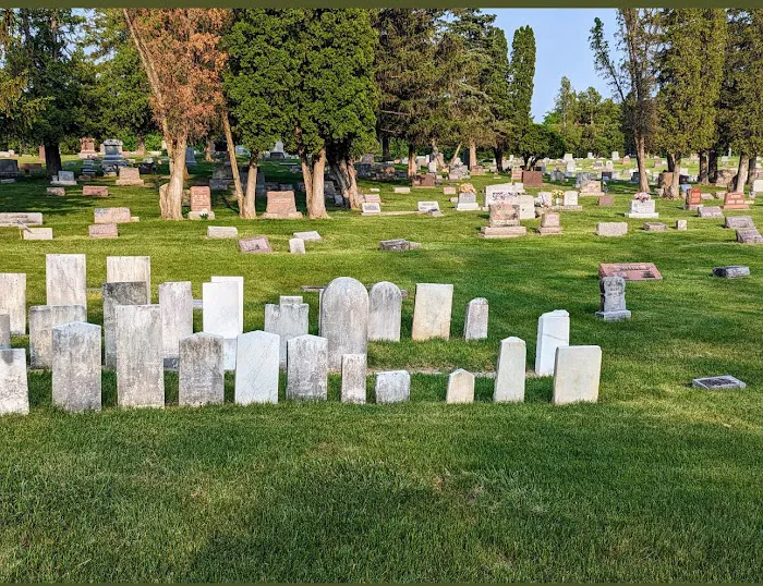 Apple & Son’s Lawn Care Service LLC Picture 10