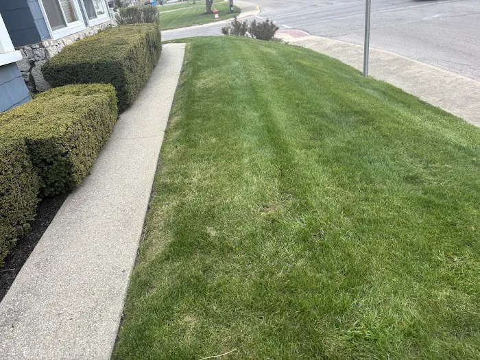 Apple & Son’s Lawn Care Service LLC Picture 8