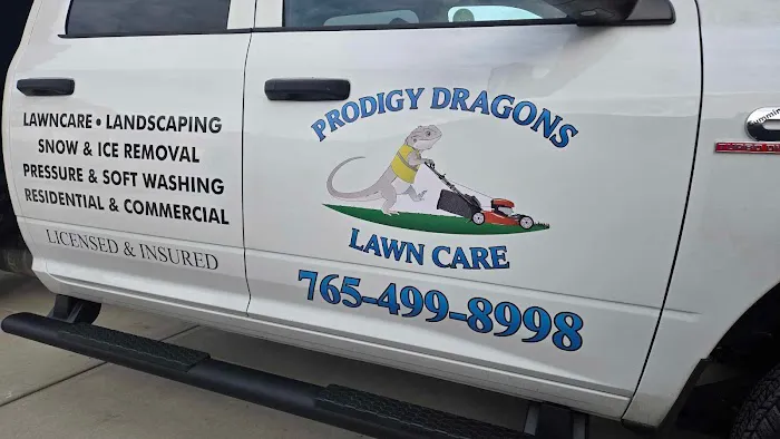 Prodigy Dragons Lawn Care Picture 9