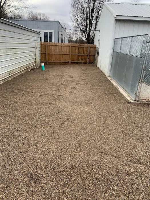 Prodigy Dragons Lawn Care Picture 1