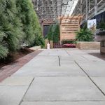 Plant Studio Landscape