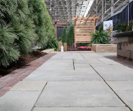 Plant Studio Landscape