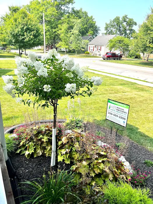 Wilson Brothers Lawn and Landscape Picture 10