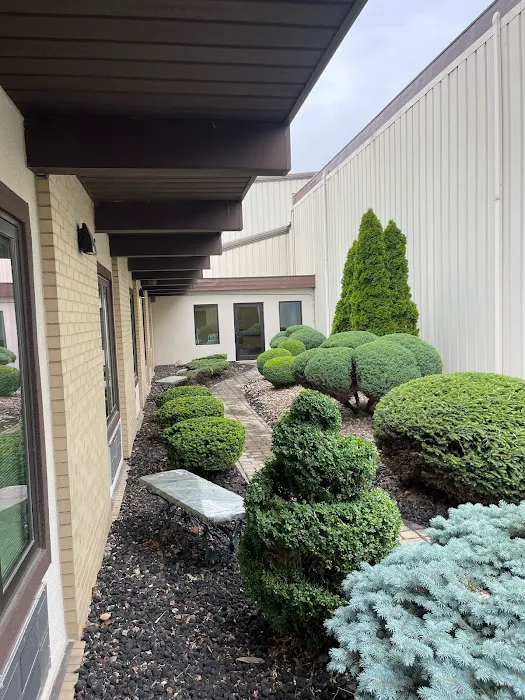 Wilson Brothers Lawn and Landscape Picture 4
