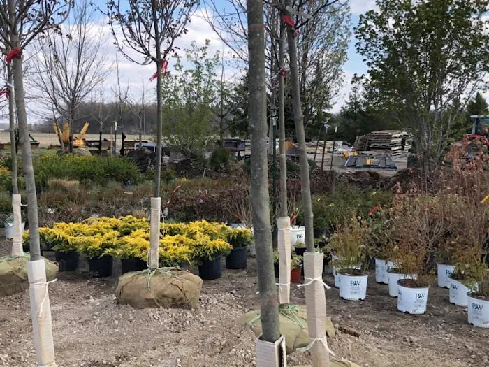 F&L Landscaping Picture 6