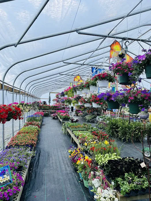 HWY 27 Landscape Supply Picture 3