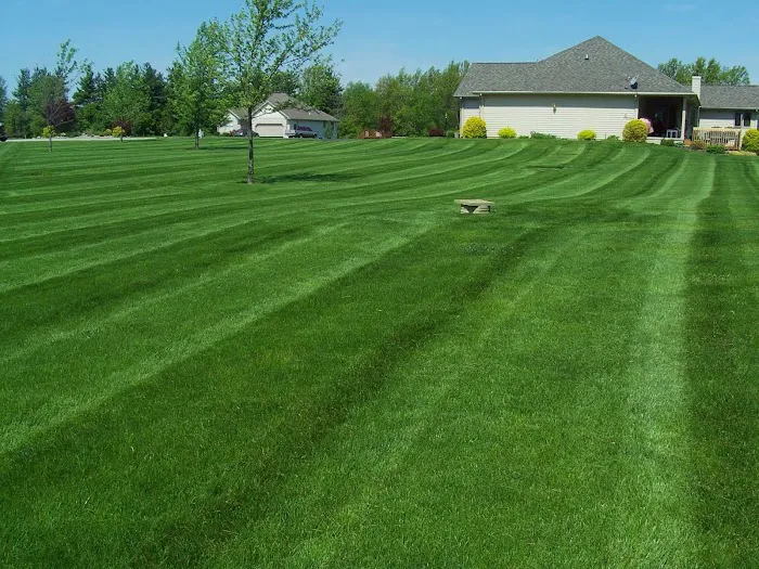 Wellman's Landvision Picture 2