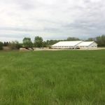 Wellman's Landvision