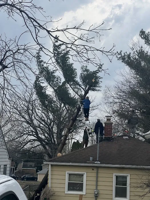 JC Landscape & Maintenance Picture 8