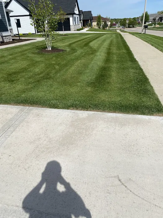 Nick’s Yard Service Picture 6