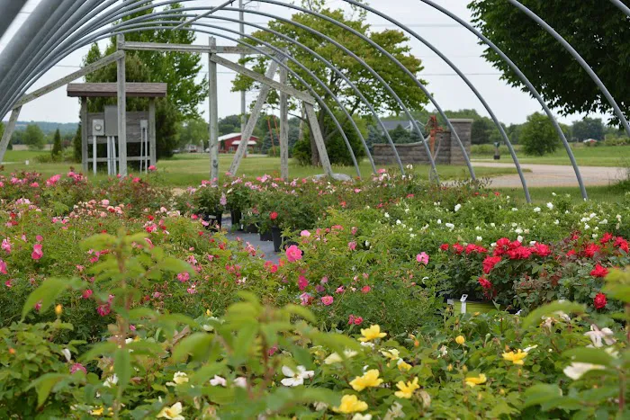 McKay Garden Center - Oregon Picture 2