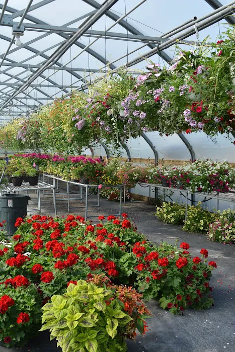 McKay Garden Center - Oregon Picture 9