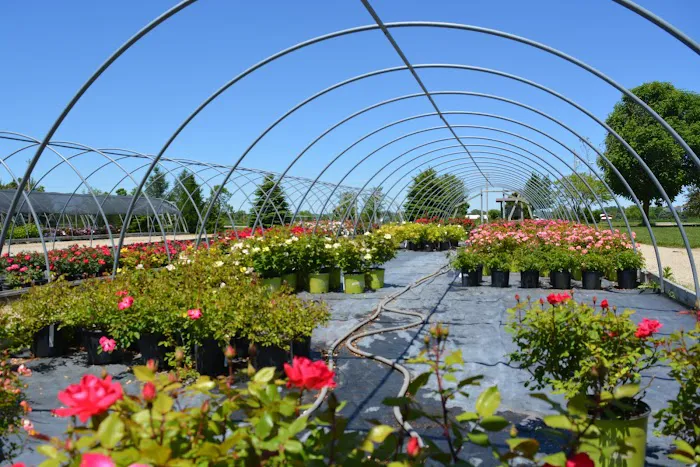 McKay Garden Center - Oregon Picture 3
