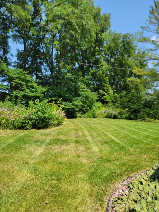 Luxi Landscaping Picture 2