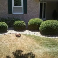 Schulenberg Land Care llc ico