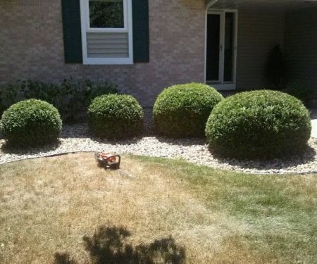 Schulenberg Land Care llc