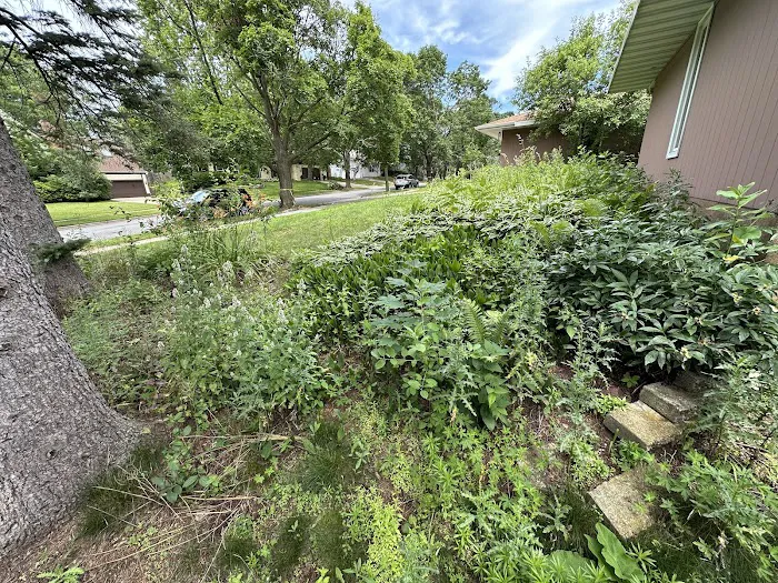 Dreger Lawn & Landscape Picture 3