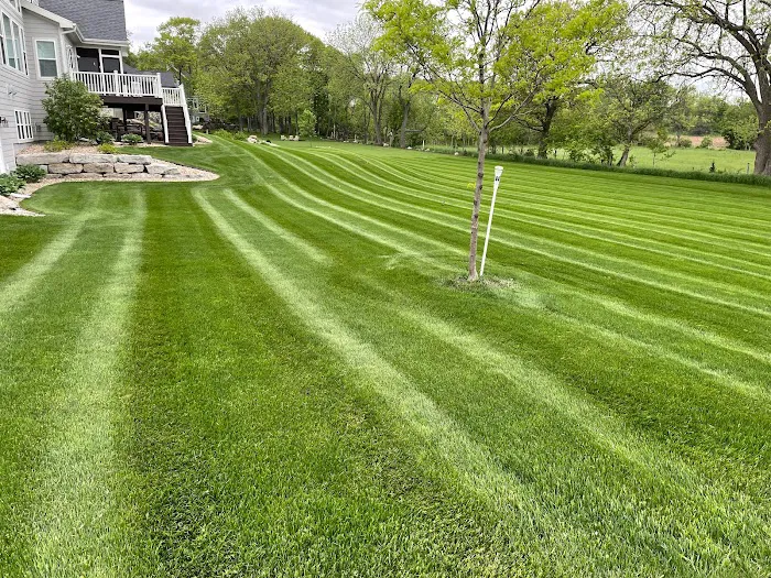 Dreger Lawn & Landscape Picture 10