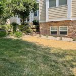 Dreger Lawn & Landscape