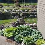 Sunnyside Landscapes